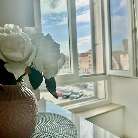 Pulse Apartamento Split